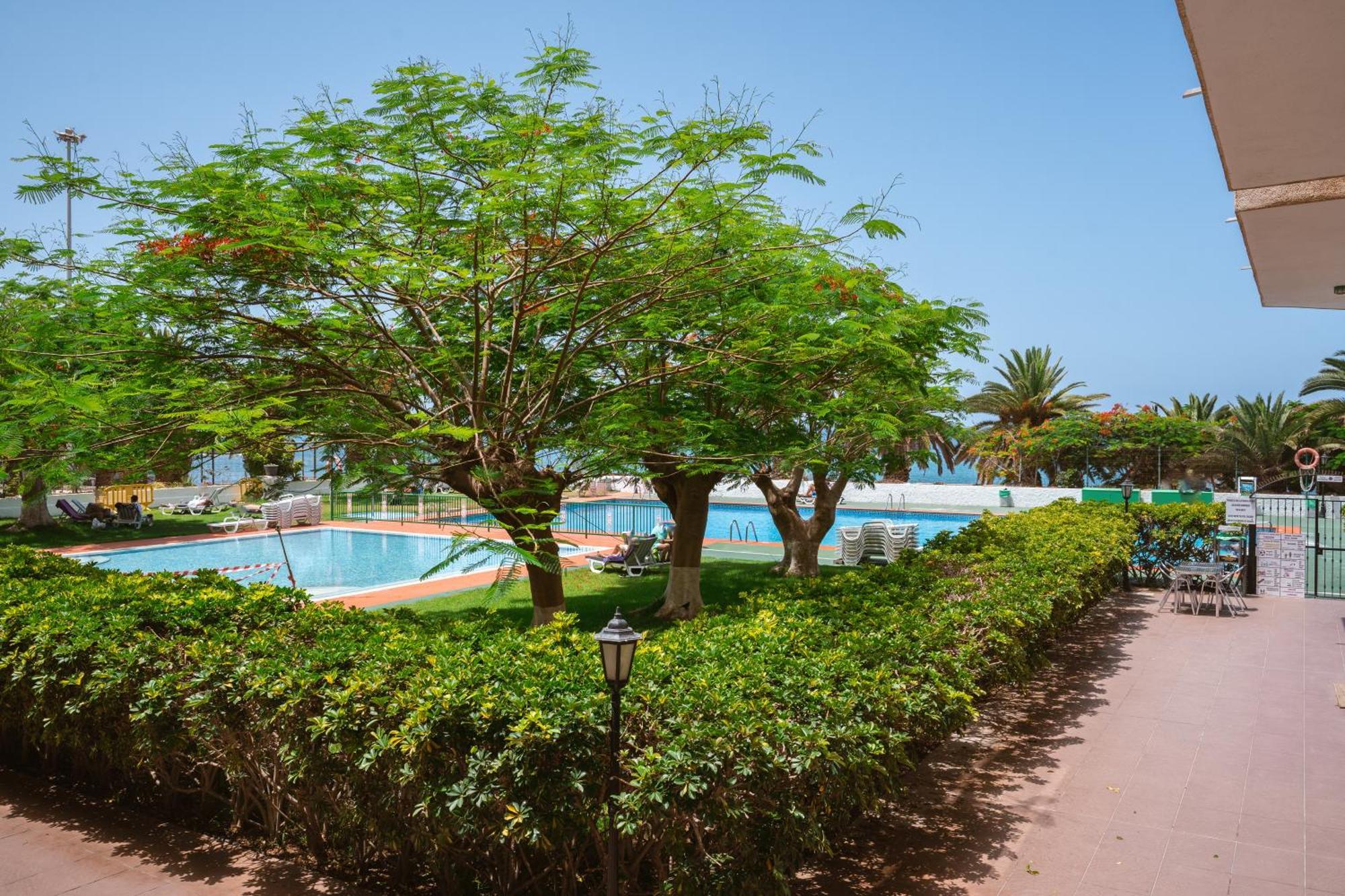 Go2Tenerife Apart'Dida Pool & First Line Of The Sea 로스크리스티아노스 외부 사진
